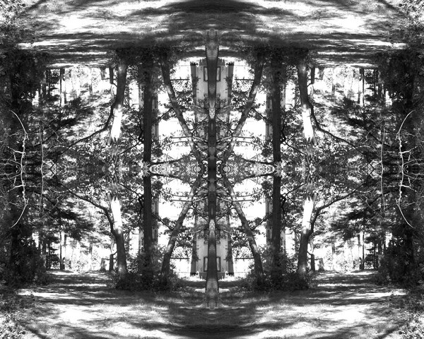 crazed_branches_31