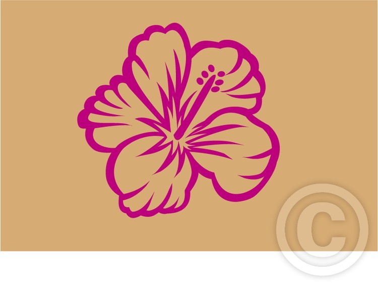 flower7