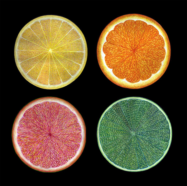 Citrus Series 1 - 4
