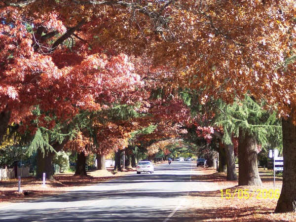 Autumn Time