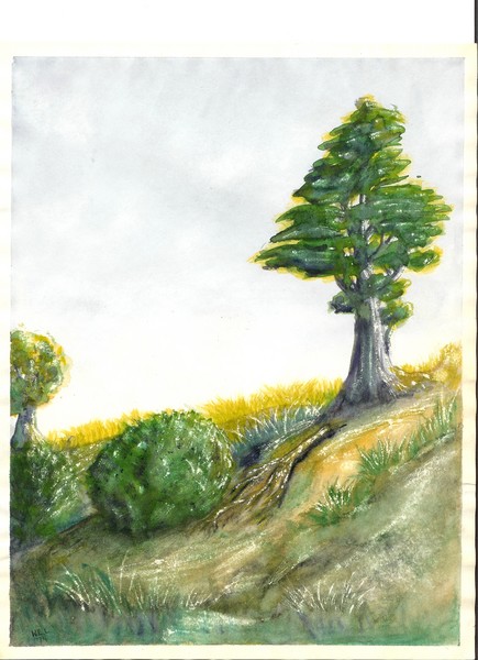 Green Spot