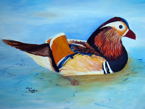 here ducky 