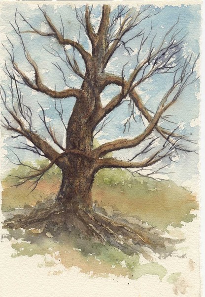 Winter Bare
