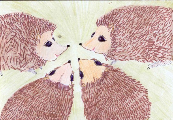 hedgie4