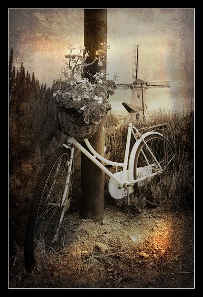 Bike & Windmill