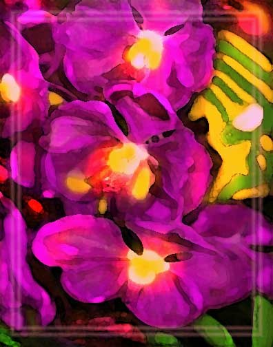 Lavender Orchids for The Adopted Mom