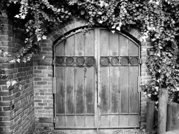 B&W Rusty Door