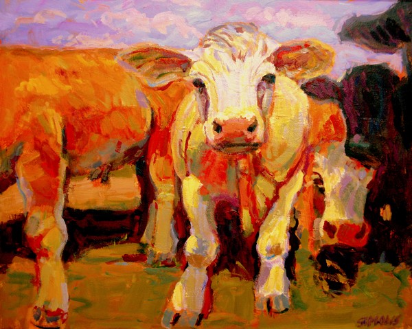 Young Cow