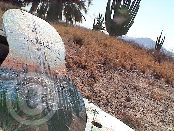 Cactus Sunrise