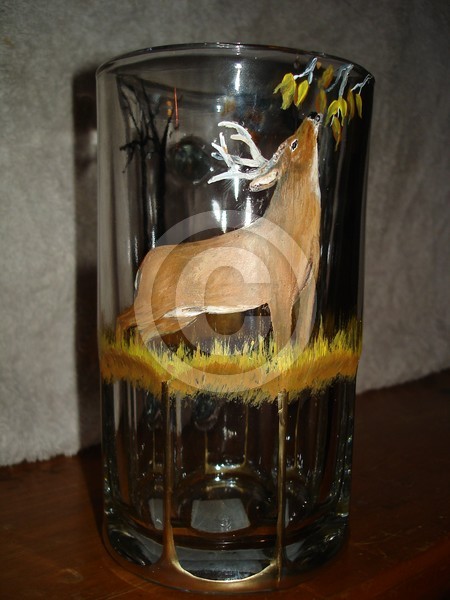 Whitetail Buck 