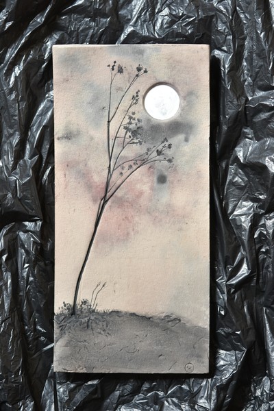 Moonlight