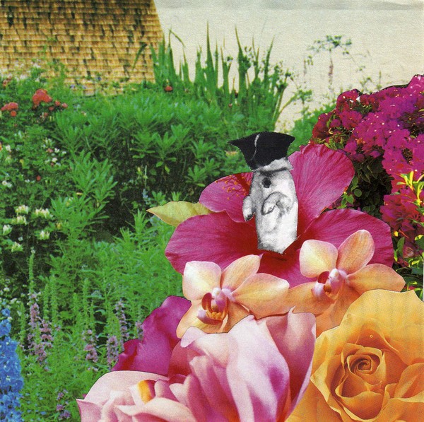 Blooming Pup