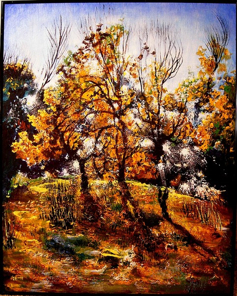 Light in Autumn