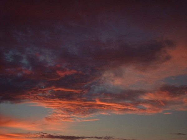 wicked sky