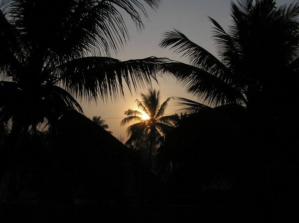 Morning in Konkan