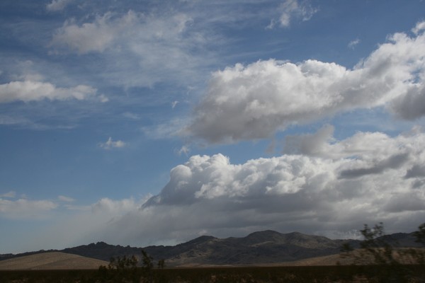 Cowboy Skys #4