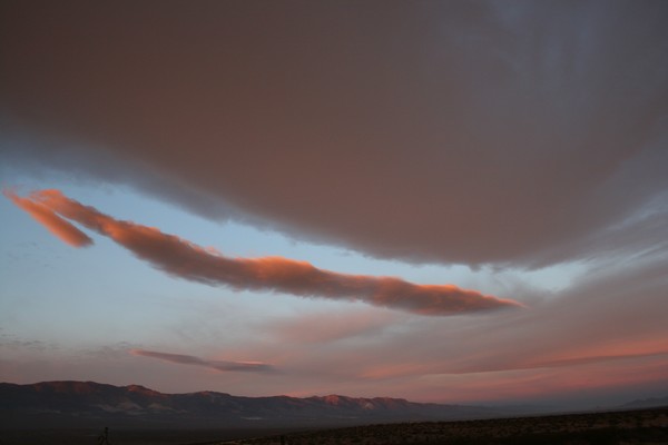 Morning Light #3