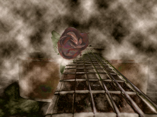 Strum Softly...Again