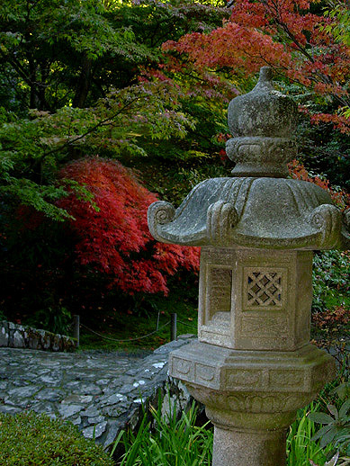 Japanese Garden Revisited