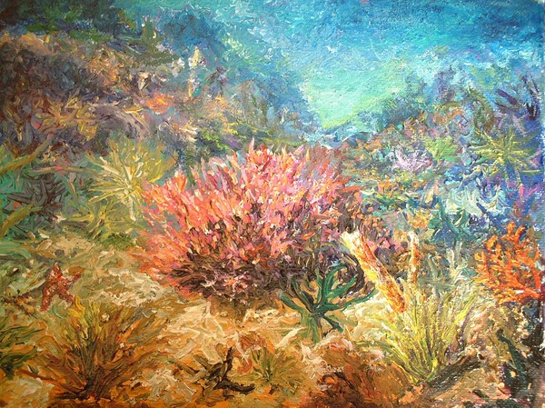paesaggio sommerso