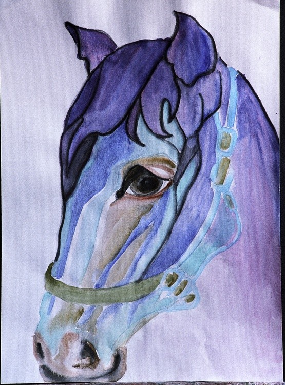 Horse 