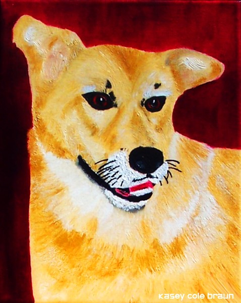 Dog 003 Pet Portrait 