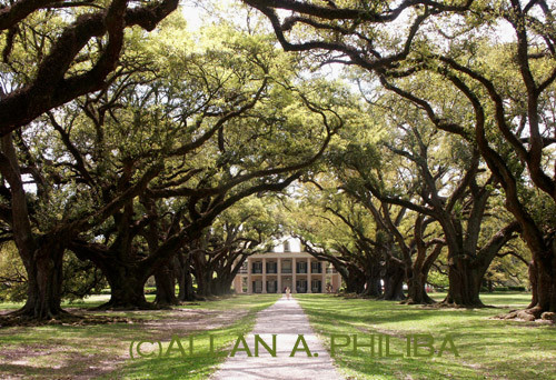 Oak Alley Plantation