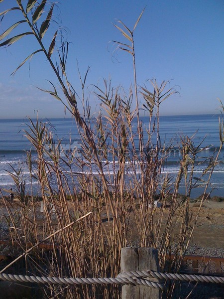 relaxing beach