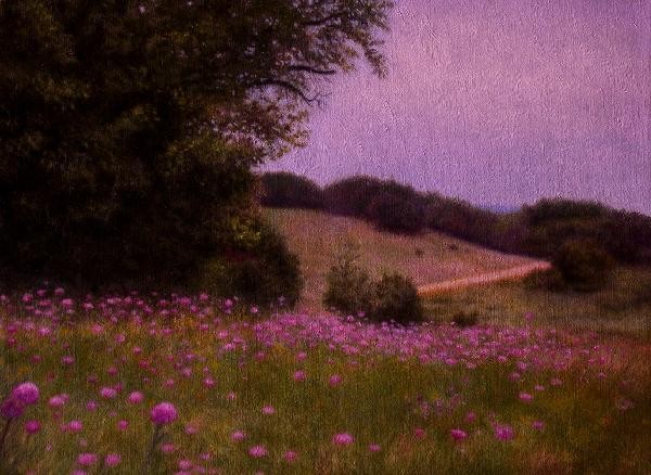 Stillness