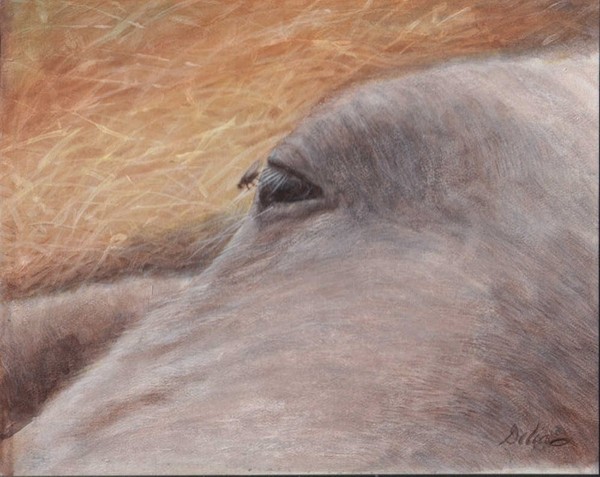 sleeping foal II