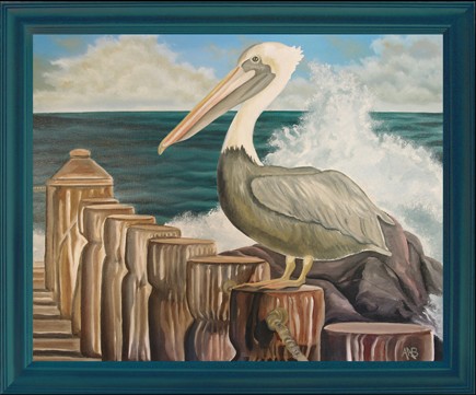 Pelican