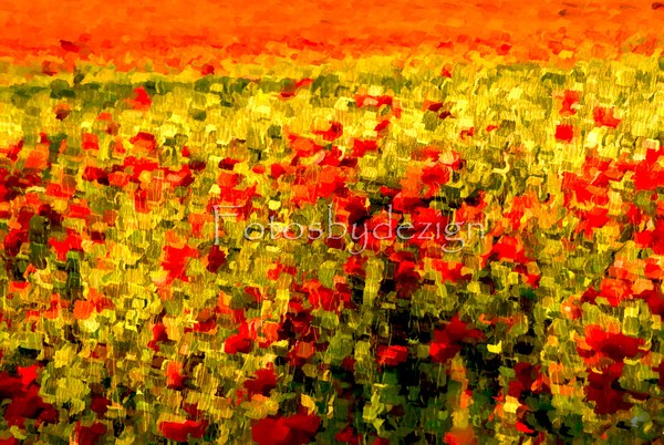 Poppy Love 2