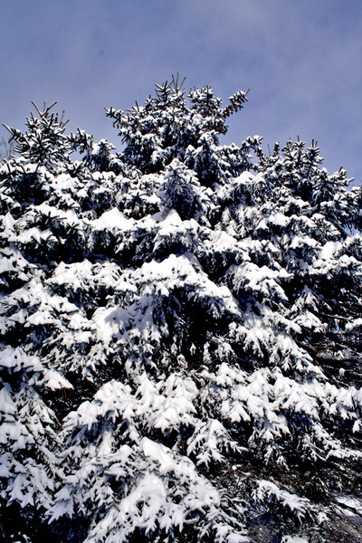 After Snowfall II