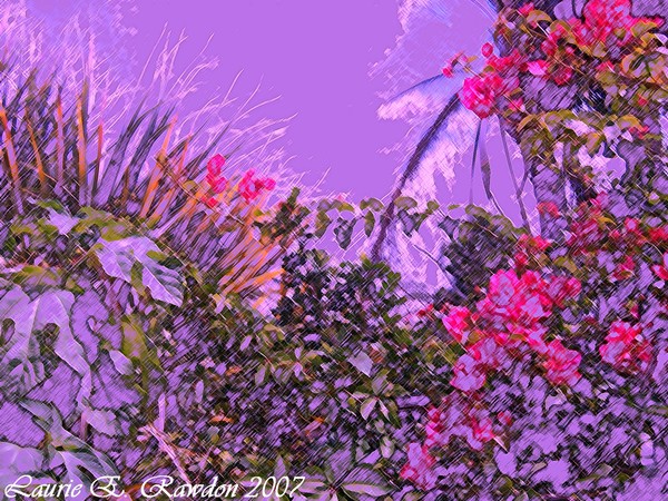 Wild Garden