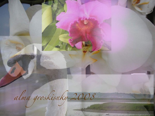    Collage for spring