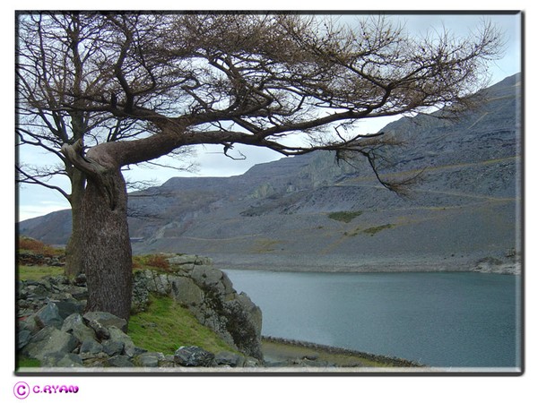 A Scene In Snowdonia