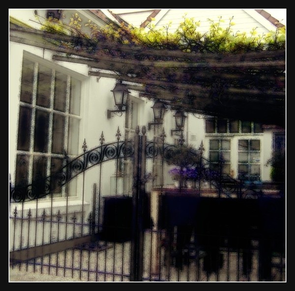 Under the Grapevines
