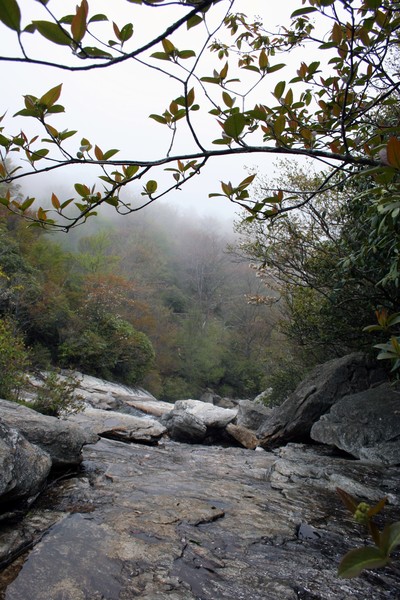 Foggy Day Deep in the Mountains