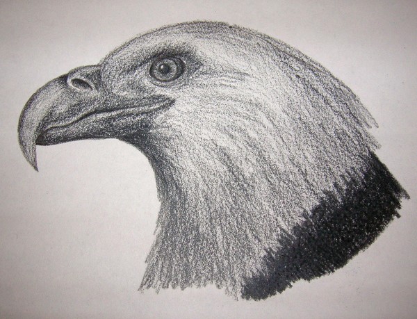 Eagle