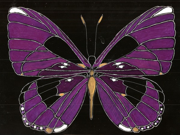 Flight Series 3 Pleione