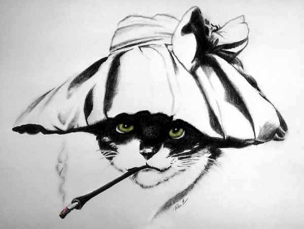 cat with a hat resized