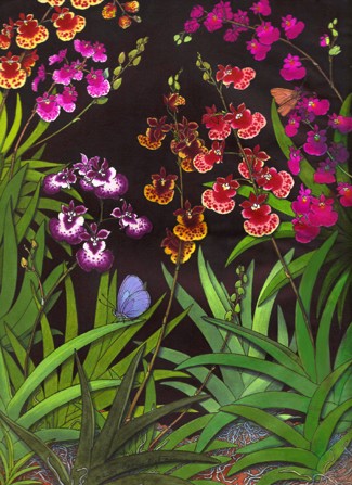 Equitant Oncidium Orchid Study