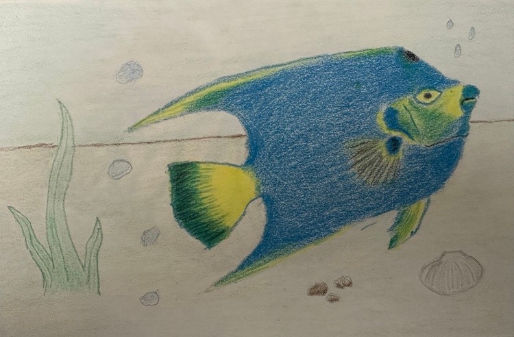 Underwater Scene