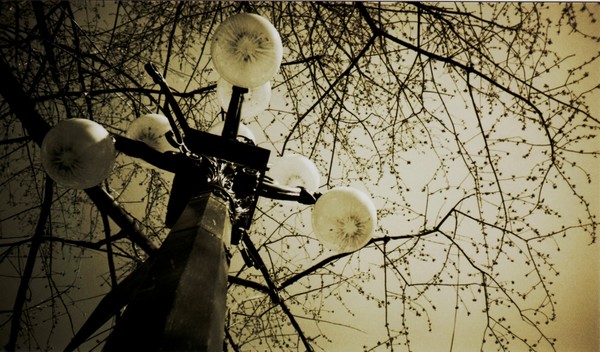 lamplighter