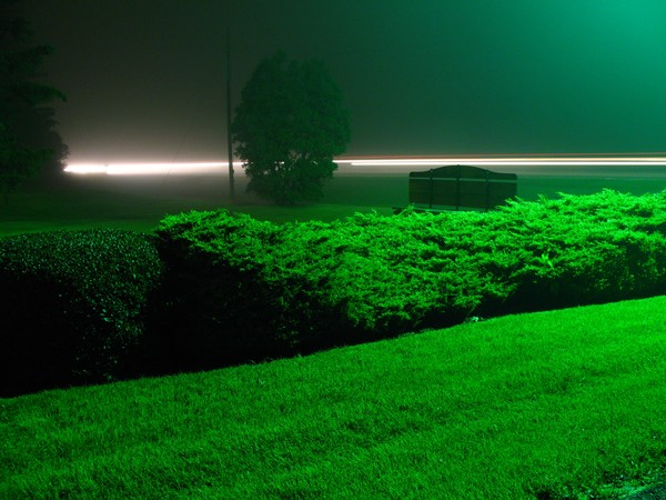 Foggy Night