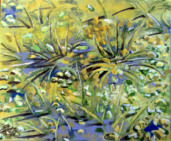 puddle reeds