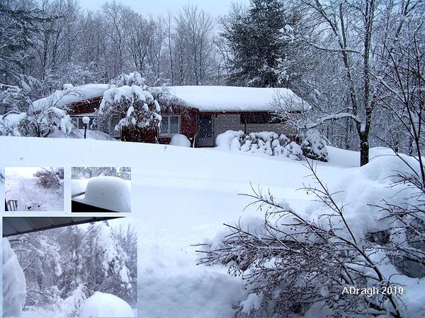 Winter Wonderland