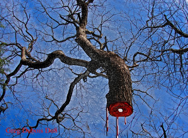 The Jesus tree