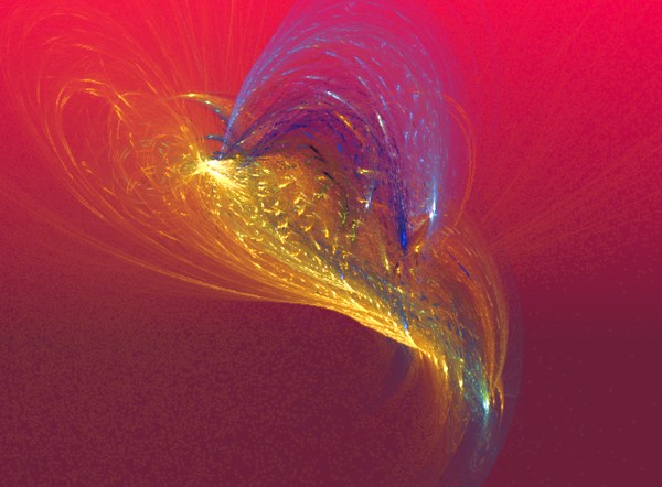 bird of paradise