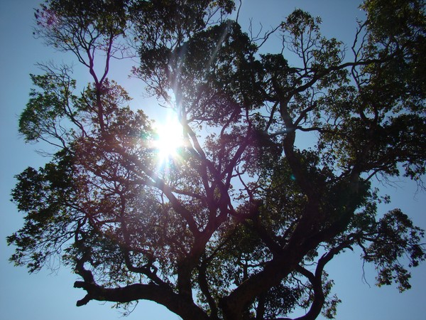 Sun-day